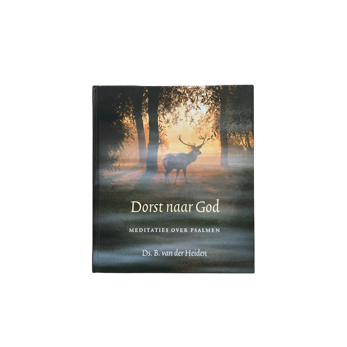 Dorst naar God | B. van der Heiden