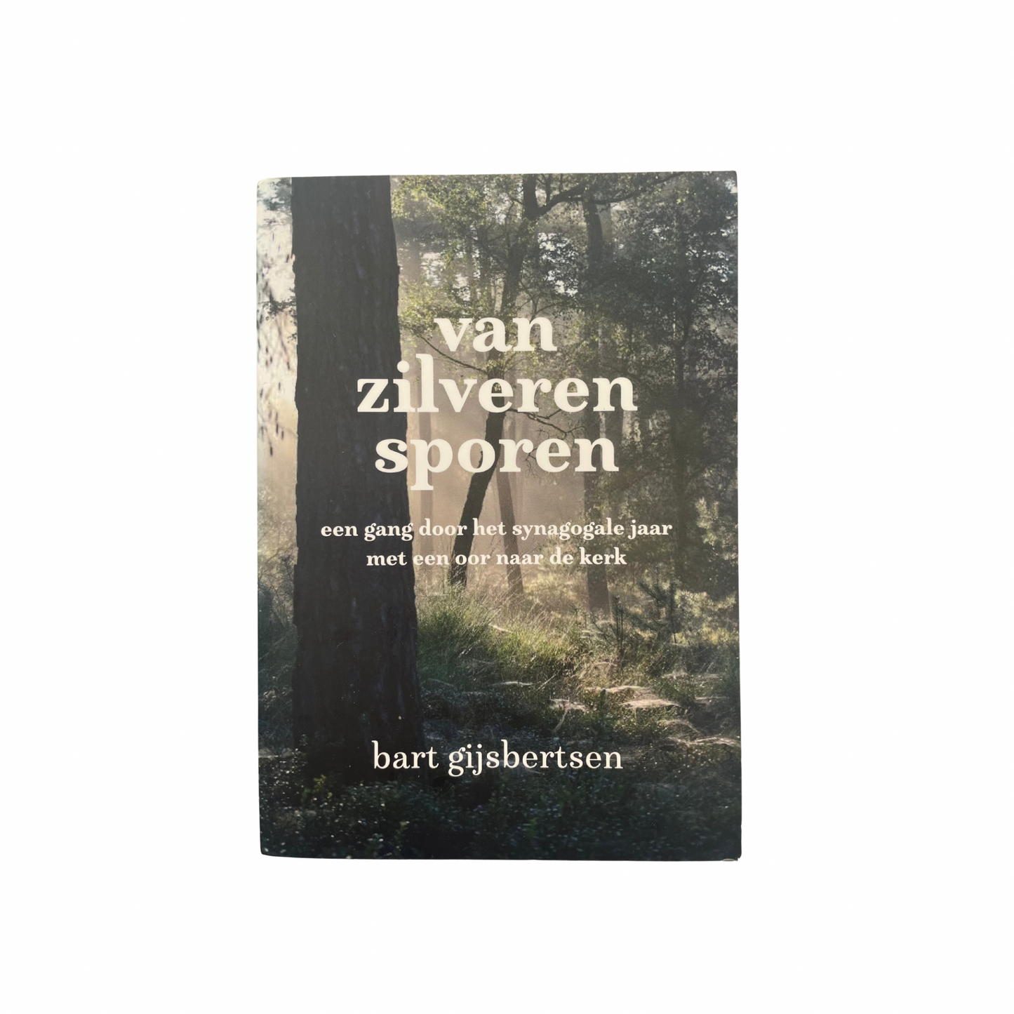 Van zilveren sporen | Bart Gijsbertsen