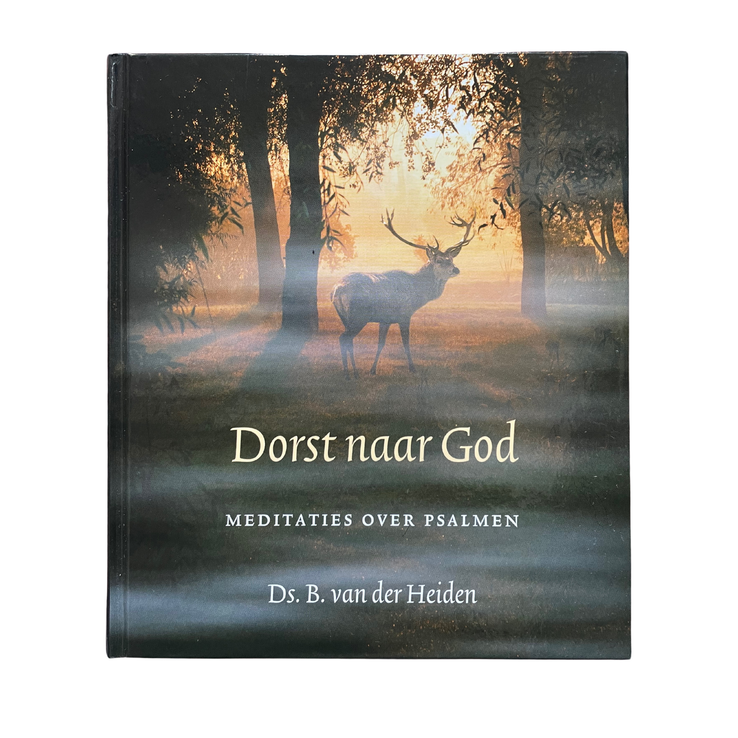 Dorst naar God | B. van der Heiden