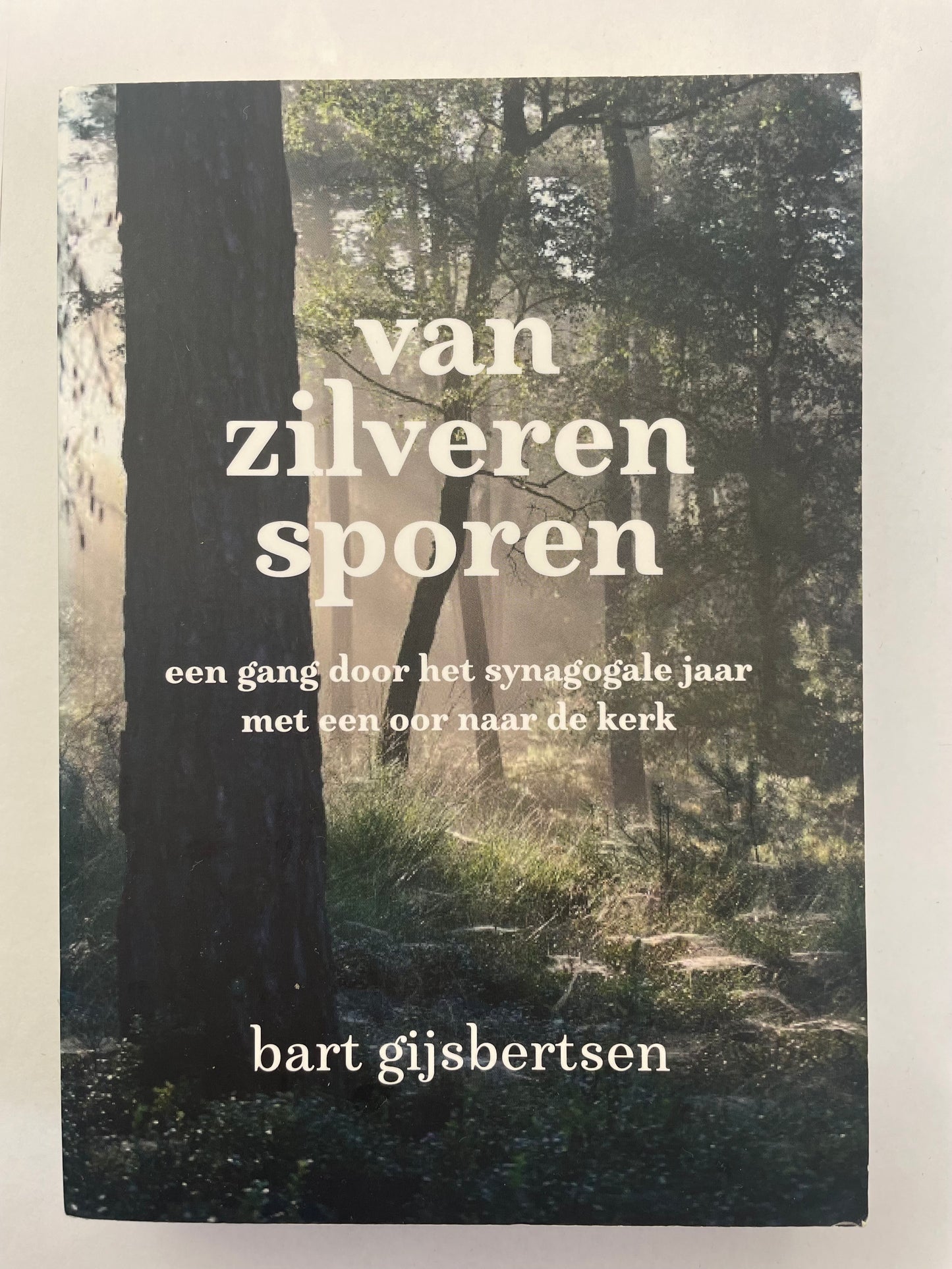 Van zilveren sporen | Bart Gijsbertsen