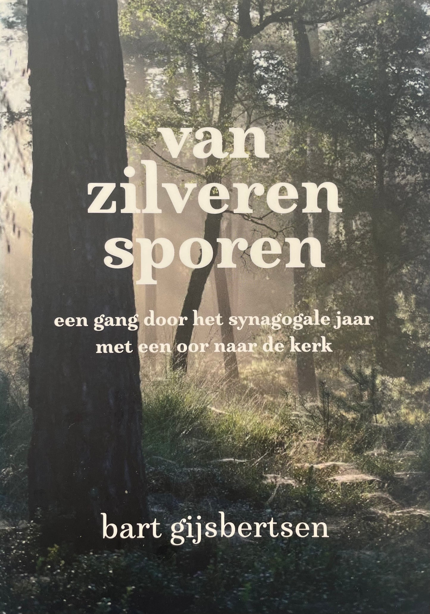 Van zilveren sporen | Bart Gijsbertsen