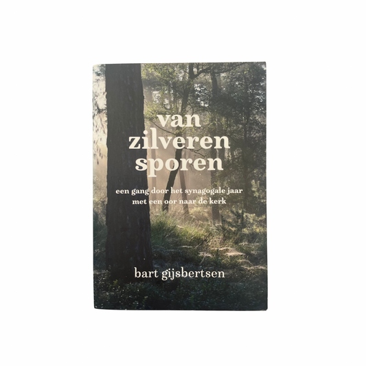 Van zilveren sporen | Bart Gijsbertsen